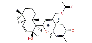 Ansellone E